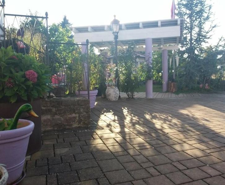 Villa Lila Sommerach Exteriör bild